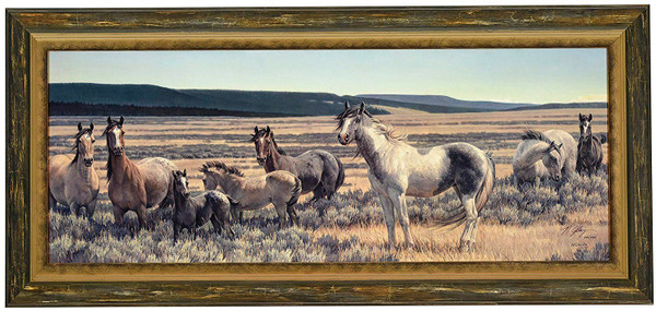 Nancy Glazier "Amazing Grays V" Horses Canvas Framed L/E Signed & Numbered