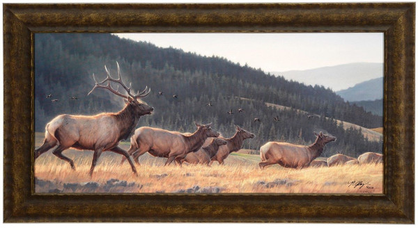 Nancy Glazier "Flyin High" Elk Canvas Framed L/E Signed & Numbered