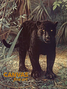 Charles Frace 'Black Jaguar' 9x12 Art Print O/E