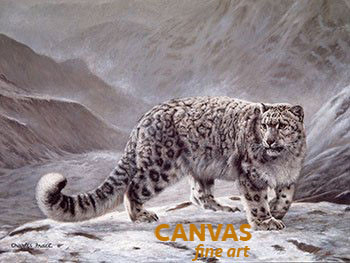 Charles Frace 'Snow Leopard' Fleeting Encounter 9x12 Art Print O/E