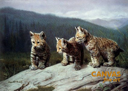Charles Frace 'Three of a Kind' Leopard Cubs 9x12 Art Print O/E