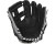 2022 Rawlings Encore 11.25"  Outfield Baseball Glove, EC1125-20B