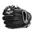 2022 Rawlings Encore 11.5" Infield Baseball Glove, EC1150-2B