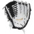 2024 Easton Haylie McCleney Professional Collection 12.75" Signature Series Fastpitch Glove, EHM828 2024 Easton Haylie McCleney Professional Collection 12.75" Signature Series Fastpitch Glove, EHM828