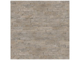 Silver Ash