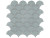 Scallop Mosaic