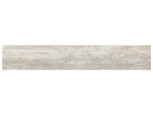 Paper Birch