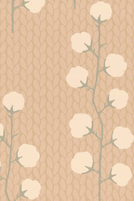 Sweet Cotton Desert rose 169-01