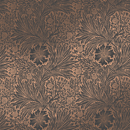 Marigold Fibrous Charcoal 124254