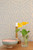 French Blond Sea breeze blue 164-01