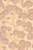 Beachy Breeze Ballet pink 165-02