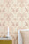 Sunset Gold Shell beige pink 167-01
