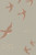 Follow the wind Blush beige 168-01