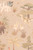 Dinosaur Vibes Sandy Beige 154-01