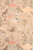 Dinosaur Vibes Sandy Beige 154-01