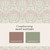 Michaelmas Daisy Pink Cedar 145688