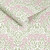 Michaelmas Daisy Pink Cedar 145688