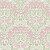 Michaelmas Daisy Pink Cedar 145688