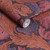Acanthus Plum 124223