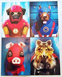 Glossy Portfolio, Assorted Super Pets Designs
