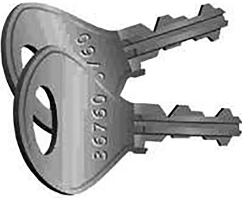 Lion Blank Keys