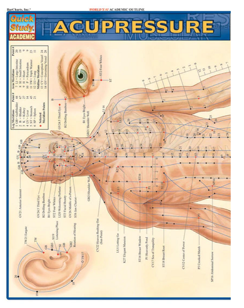 QuickStudy® Reference Guide, Acupressure