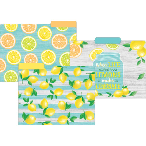 Teacher Created Resources Lemon Zest File Folders, Assorted, 12 Count