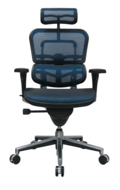 Eurotech "ERGOHUMAN" Deluxe High Back All Mesh Chair - Blue