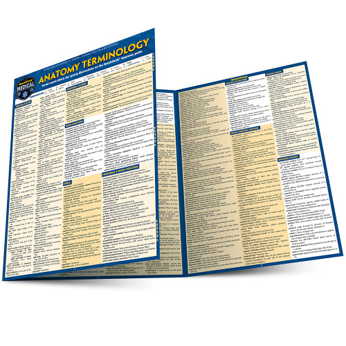 BarCharts QuickStudy Laminated Study Guide, Anatomy Terminology