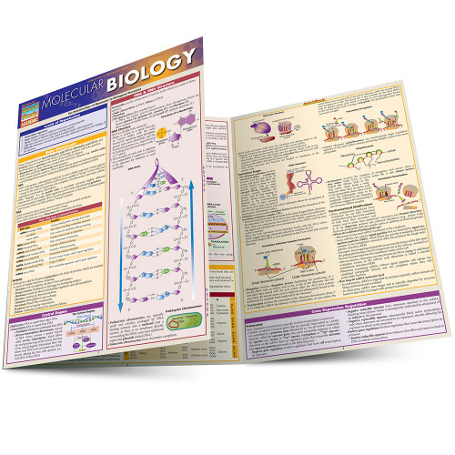 BarCharts QuickStudy Laminated Study Guide, Molecular Biology