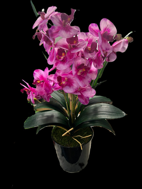Silk Orchid Plant #2