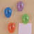 Standard Cubicle Clips, Assorted Translucent Colors, 24 Count