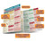 BarCharts QuickStudy Laminated Study Guide, Chemistry Equations