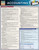 BarCharts QuickStudy Laminated Study Guide, Accounting 1