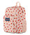 Big Student,Strawberry Shower