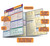 BarCharts QuickStudy Laminated Study Guide, Spanish Grammar
