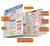 BarCharts QuickStudy Laminated Study Guide, Physiology