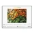 Galison Seabrook Ream Gourds