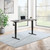 Primo 60” Sit/Stand Electric Height Adjustable Desk with Electric One-Touch Controls, Programmable Height Memory, Ash/Black
