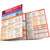 BarCharts QuickStudy Laminated Study Guide, English Fundamentals 1: Grammar