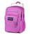 Big Student Digital Fuchsia