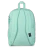 Big Student Magic Mint