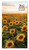 TYP-12 2027-2028 Floral Two Year Pocket Planner