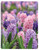 MB-32 2027 Floral Monthly Planner