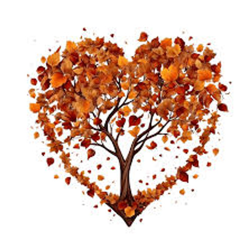 Kavasa Love Lawn care service