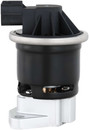 Delphi Exhaust Gas Recirculation (EGR) Valve EG10594 - view 7