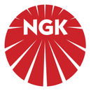 NGK Spark Plug Wire Set 52184