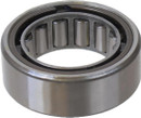 SKF Differential Pinion Pilot Bearing R1535-TAV
