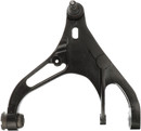 Delphi Suspension Control Arm and Ball Joint Assembly TC6245 - view 5