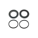 Carlson Disc Brake Caliper Repair Kit 41250